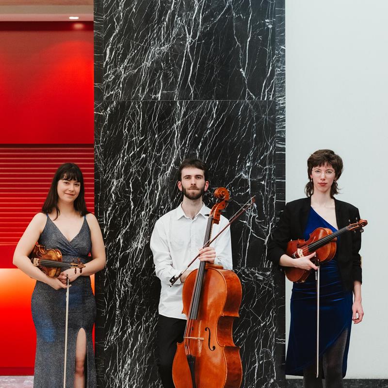 Ensemble Satellite @Leslie Artamonow